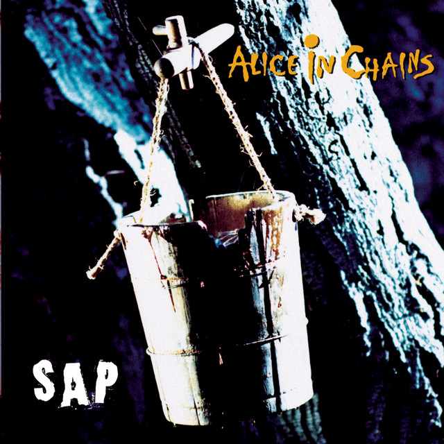 Accords et paroles Am I Inside Alice In Chains