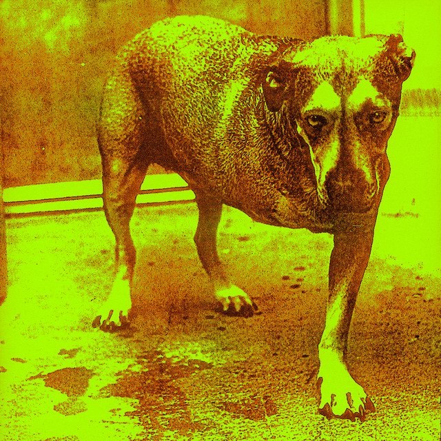 Accords et paroles Head Creeps Alice In Chains