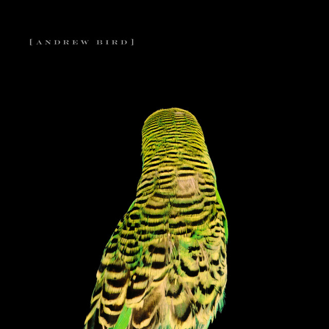 Accords et paroles Armchairs Andrew Bird