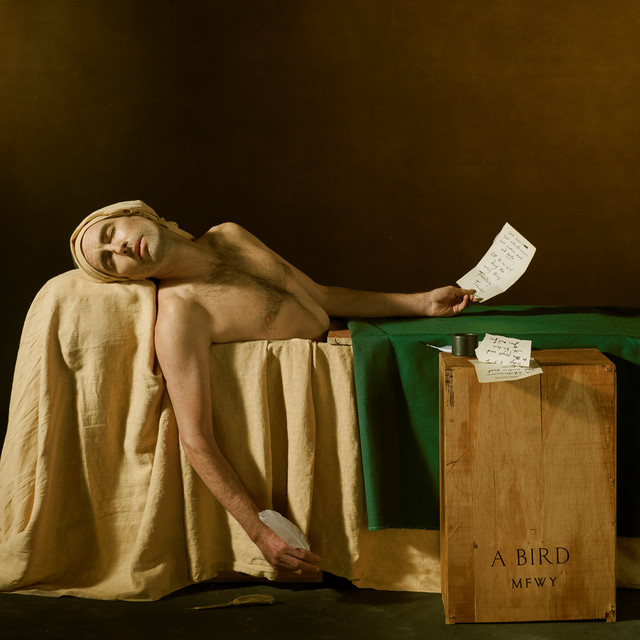 Accords et paroles Cracking Codes Andrew Bird