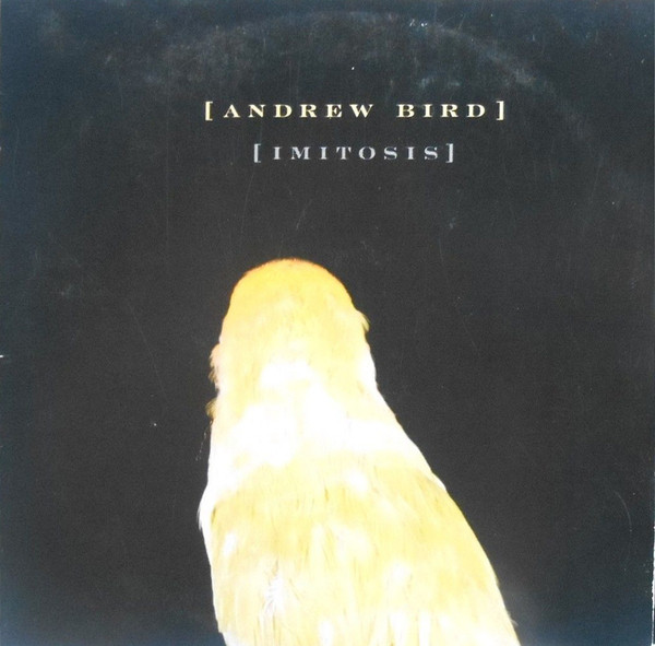 Accords et paroles Imitosis Andrew Bird