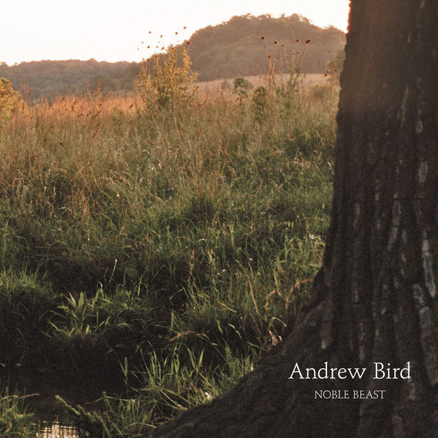 Accords et paroles Masterswarm Andrew Bird