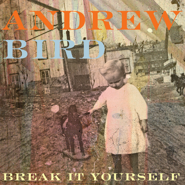 Accords et paroles Near Death Experience Experience Andrew Bird