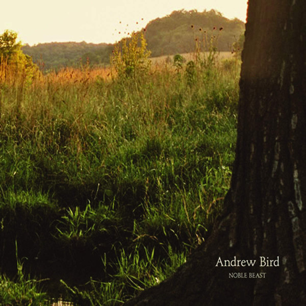 Accords et paroles Section 8 City Andrew Bird