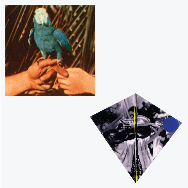 Accords et paroles Truth Lies Low Andrew Bird