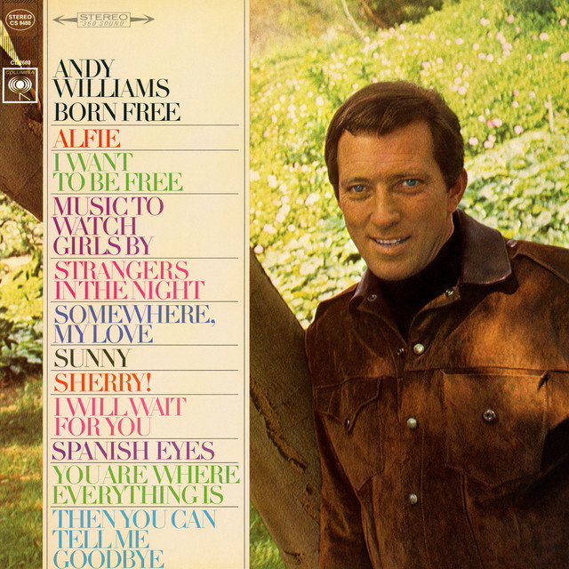 Accords et paroles I Will Wait For You Andy Williams
