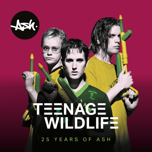 Accords et paroles Wildsurf Ash