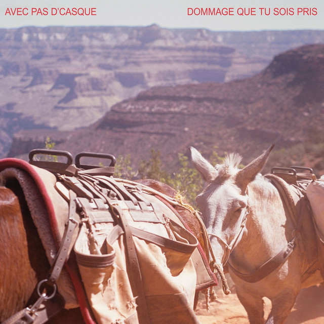 Accords et paroles Mon dos n'est pas une chaise Avec pas d'casque