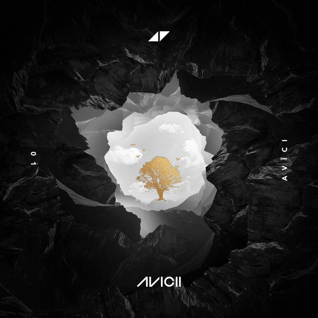 Accords et paroles What Would I Change It To Avicii