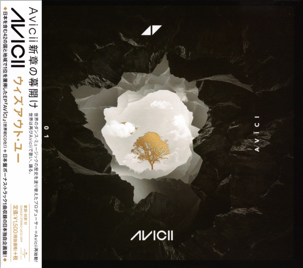 Accords et paroles Without You Avicii