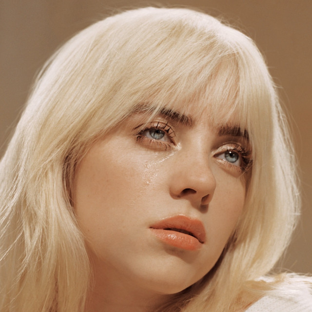 Accords et paroles Another Stupid Song Billie Eilish