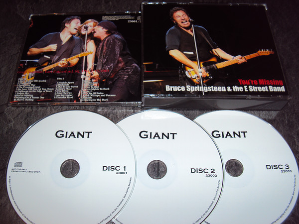 Accords et paroles You're Missing Bruce Springsteen