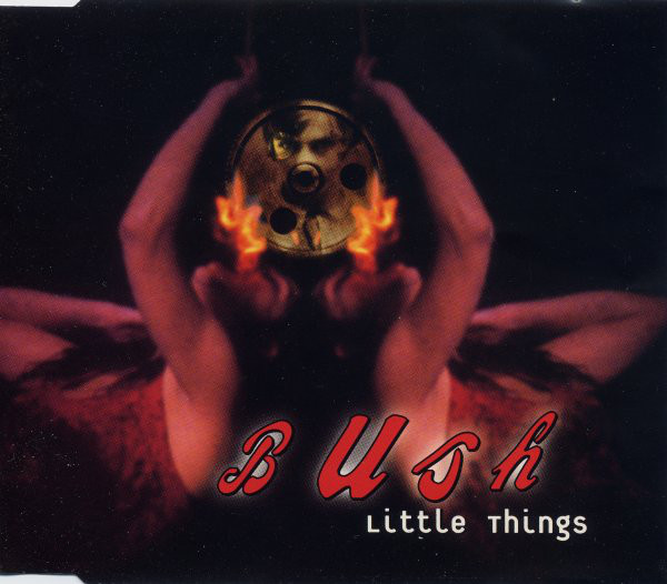 Accords et paroles Little Things Bush