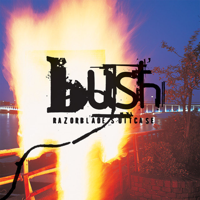 Accords et paroles Straight No Chaser Bush