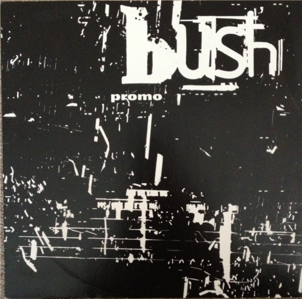Accords et paroles Swallowed Bush