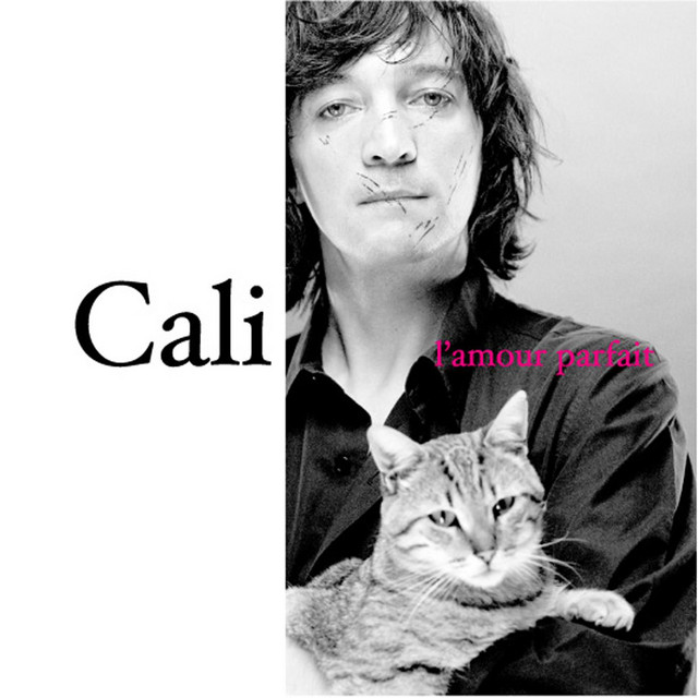 Accords et paroles Tout va bien Cali