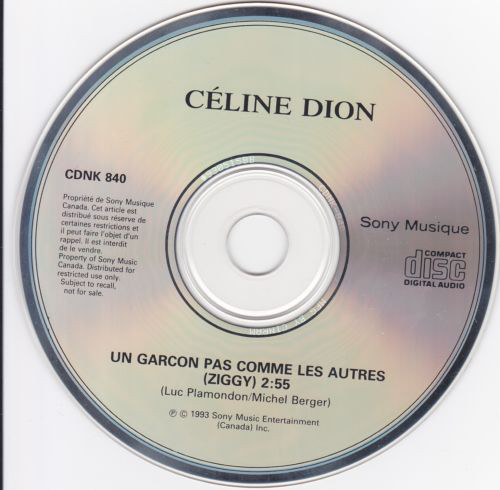Accords et paroles Un garçon pas comme les autres (Ziggy) Celine Dion