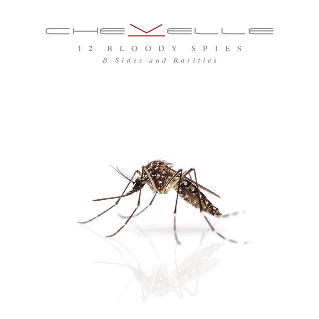 Accords et paroles Indifference Chevelle