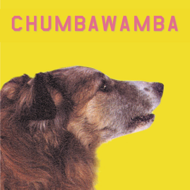 Accords et paroles Dumbing Down Chumbawamba