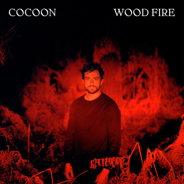 Accords et paroles Colors Cocoon