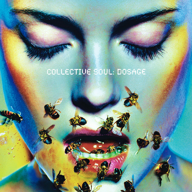 Accords et paroles Slow Collective Soul