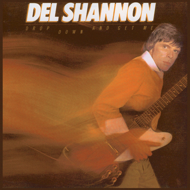 Accords et paroles Out Of Time Del Shannon