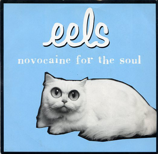 Accords et paroles Novocaine For The Soul Eels