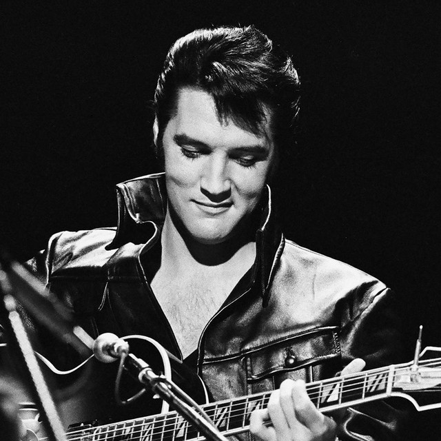 Accords et paroles A Cane And A High Starched Collar Elvis Presley