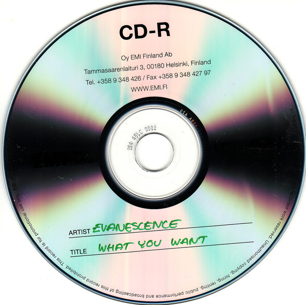 Accords et paroles What You Want Evanescence