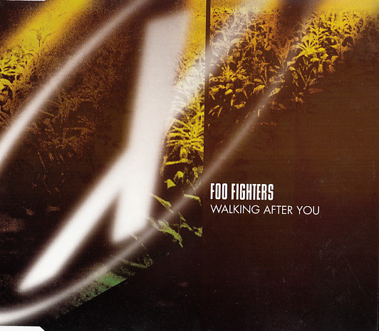 Accords et paroles Walking after You Foo Fighters
