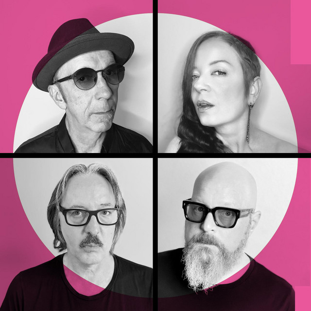 Accords et paroles I Just Wanna Have Something To Do Garbage