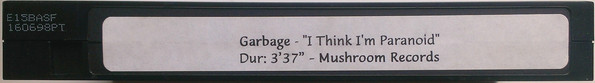 Accords et paroles I Think Im Paranoid Garbage