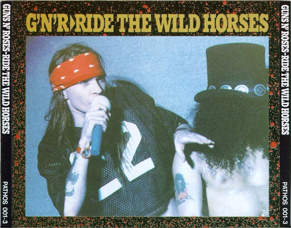 Accords et paroles Wild Horses Guns N' Roses