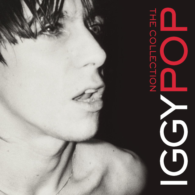 Accords et paroles The Endless Sea Iggy Pop