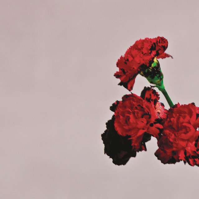 Accords et paroles Save The Night John Legend