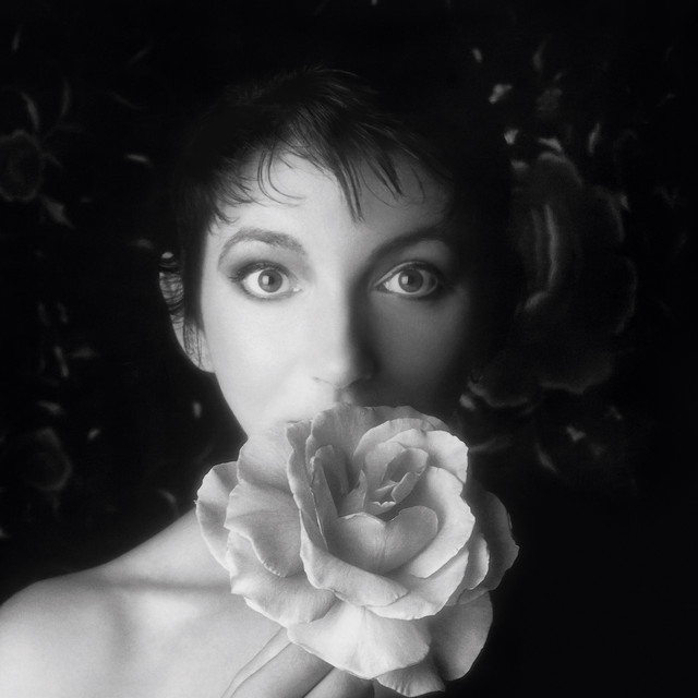 Accords et paroles Another Day Kate Bush