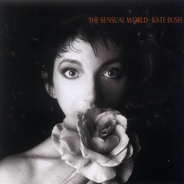Accords et paroles The Fog Kate Bush
