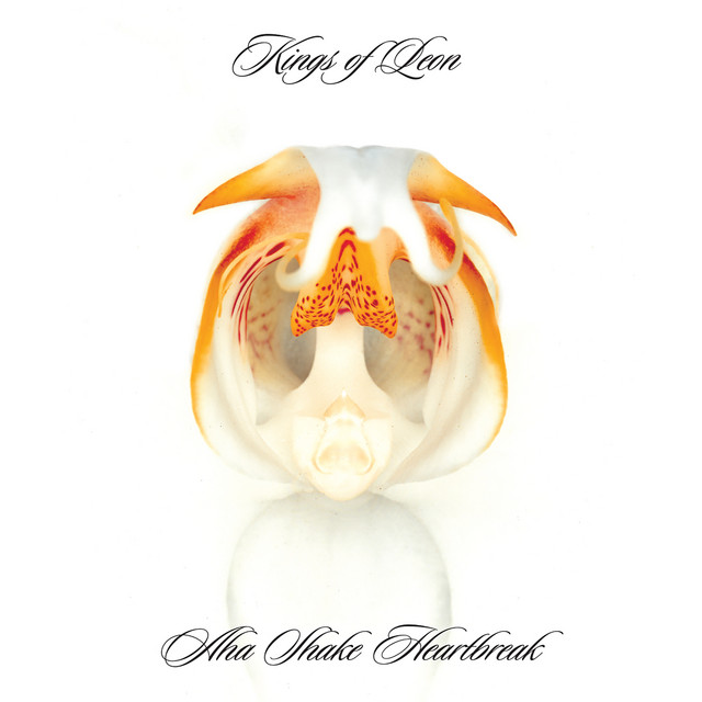 Accords et paroles Where Nobody Knows Kings Of Leon