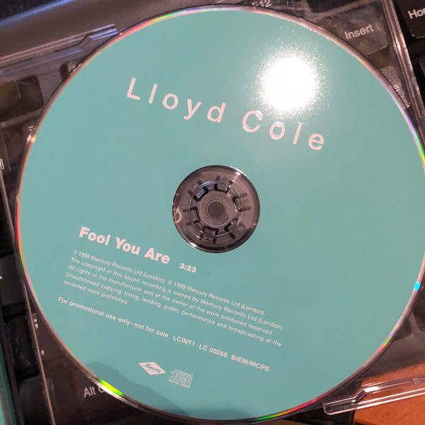 Accords et paroles Fool You Are Lloyd Cole