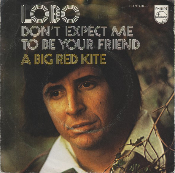 Accords et paroles Don't Expect Me To Be Your Friend Lobo