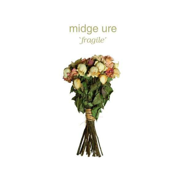 Accords et paroles Fragile Midge Ure