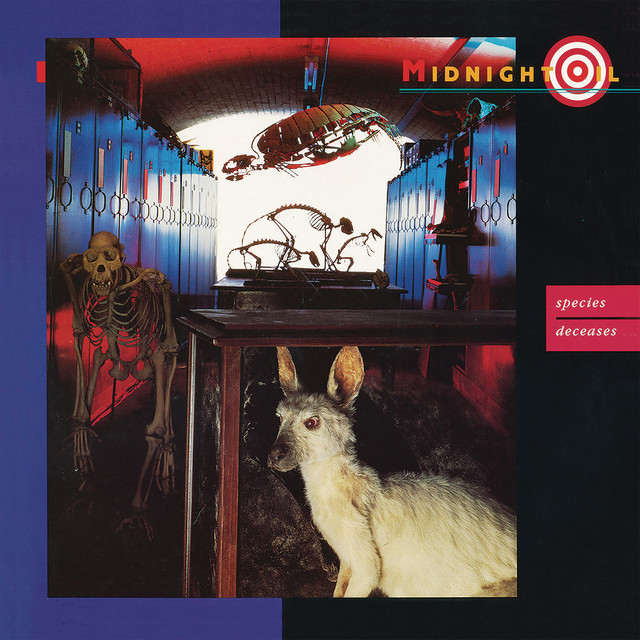 Accords et paroles Blossom and Blood Midnight Oil