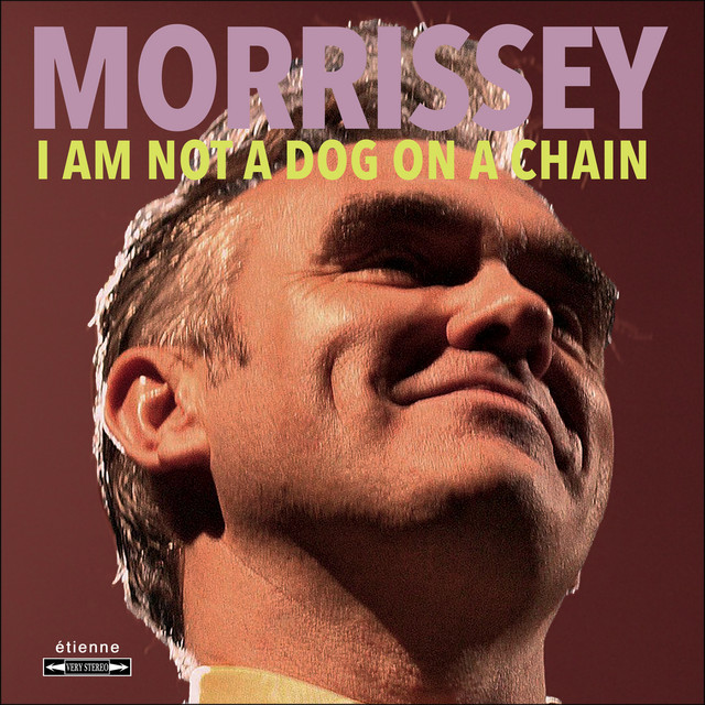 Accords et paroles Darling I Hug A Pillow Morrissey