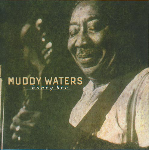 Accords et paroles Honey Bee Muddy Waters