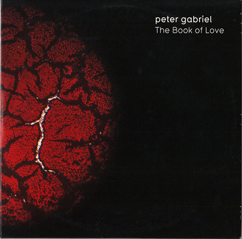 Accords et paroles Book Of Love Peter Gabriel