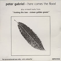 Accords et paroles Here Comes The Flood Peter Gabriel
