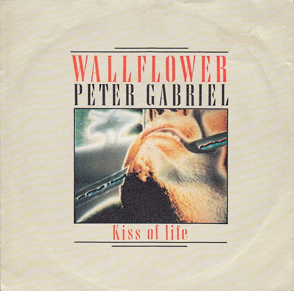 Accords et paroles Wallflower Peter Gabriel