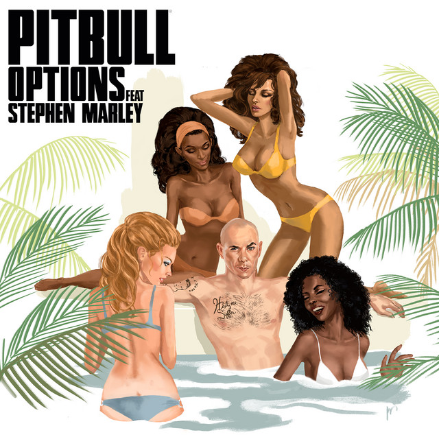Accords et paroles Options Pitbull