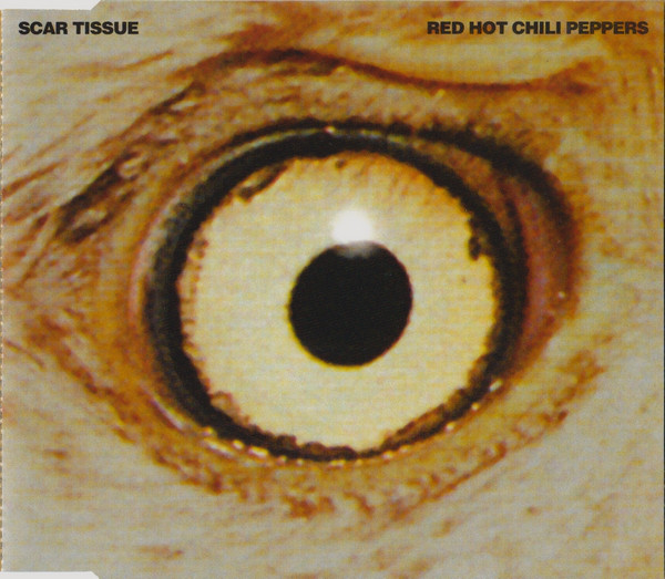 Accords et paroles Scar Tissue Red Hot Chili Peppers