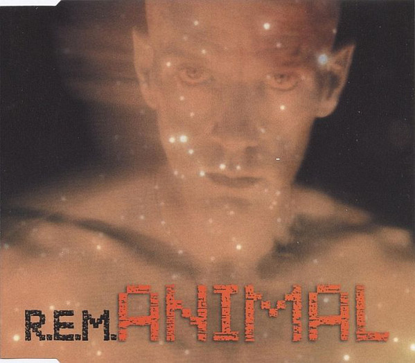 Accords et paroles Animal R.E.M.